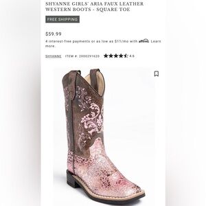 Shyanne Brown and Pink Embroidered Boots